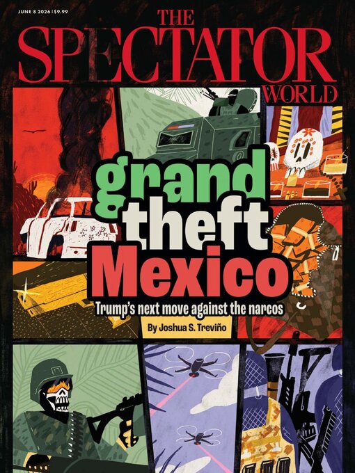 Cover image for The Spectator World